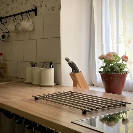 Alpakarium, Hodowla Alpak & Pensjonat Stara Kornica Extérieur photo