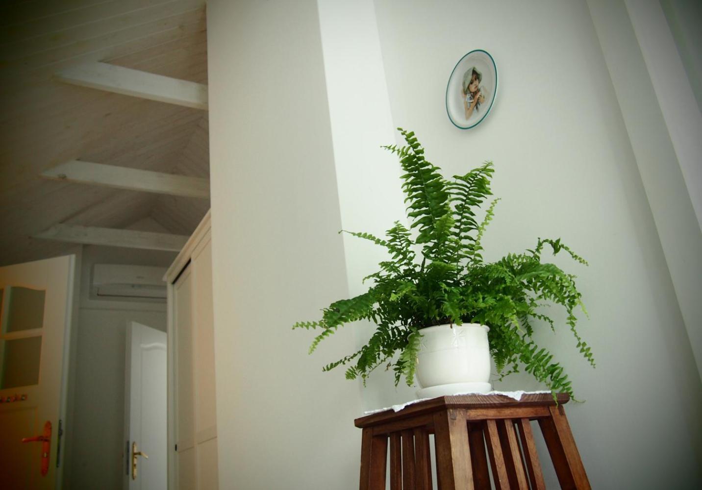 Alpakarium, Hodowla Alpak & Pensjonat Stara Kornica Extérieur photo