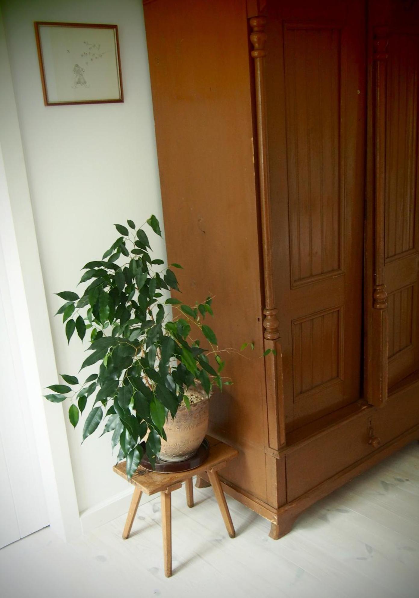 Alpakarium, Hodowla Alpak & Pensjonat Stara Kornica Extérieur photo