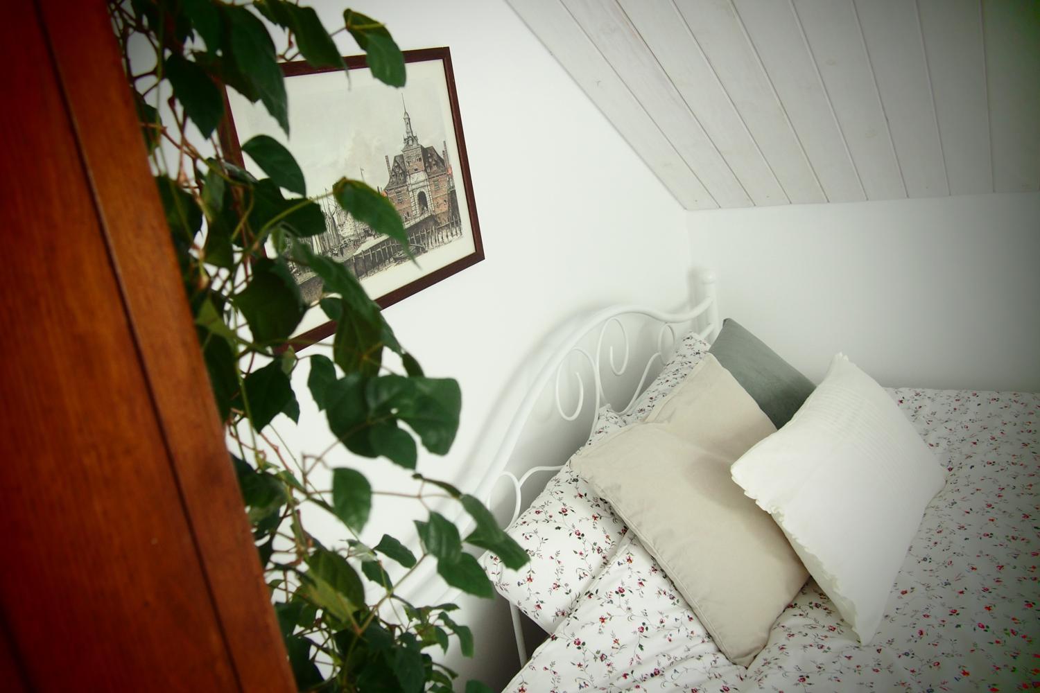 Alpakarium, Hodowla Alpak & Pensjonat Stara Kornica Extérieur photo